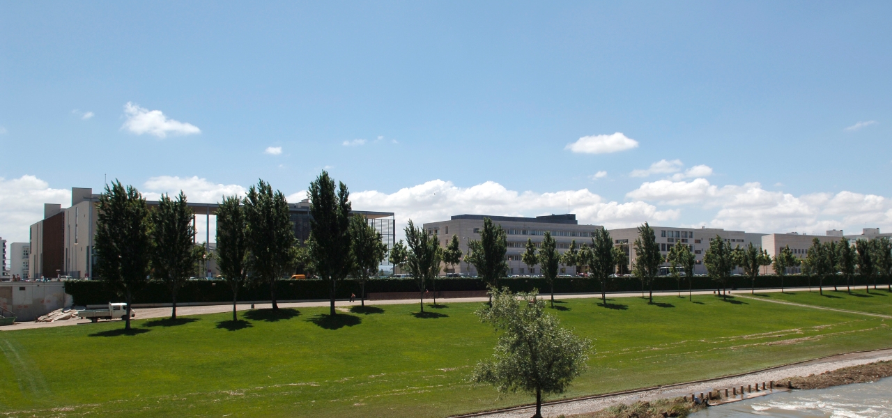 Department of Law