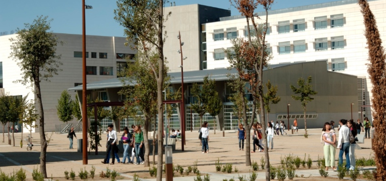 Department of Law